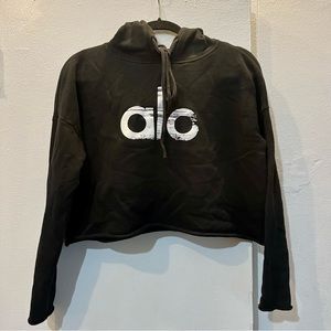 Alo Yoga Oversized Cropped Hoodie
